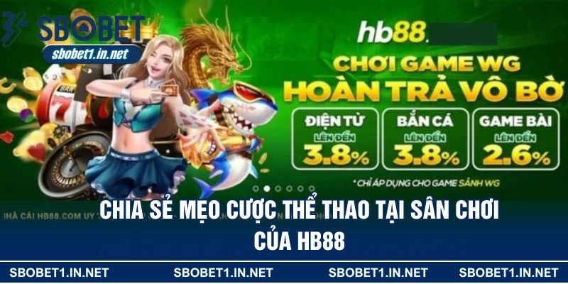 Chia sẻ mẹo cược thể thao tại sân chơi của HB88