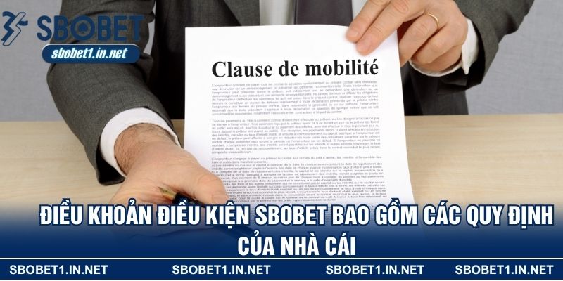 Điều khoản điều kiện Sbobet bao gồm các quy định của nhà cái