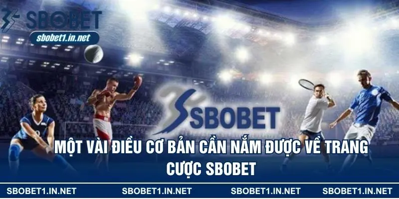 Một vài điều cơ bản cần nắm được về trang cược Sbobet